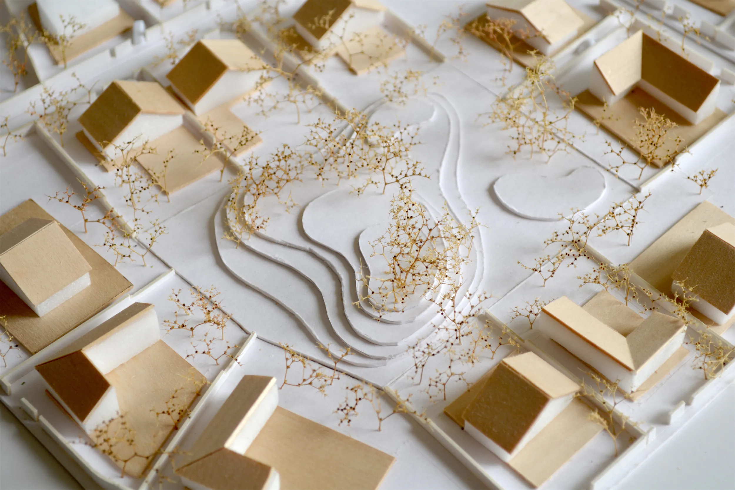 Мастерплан Котово