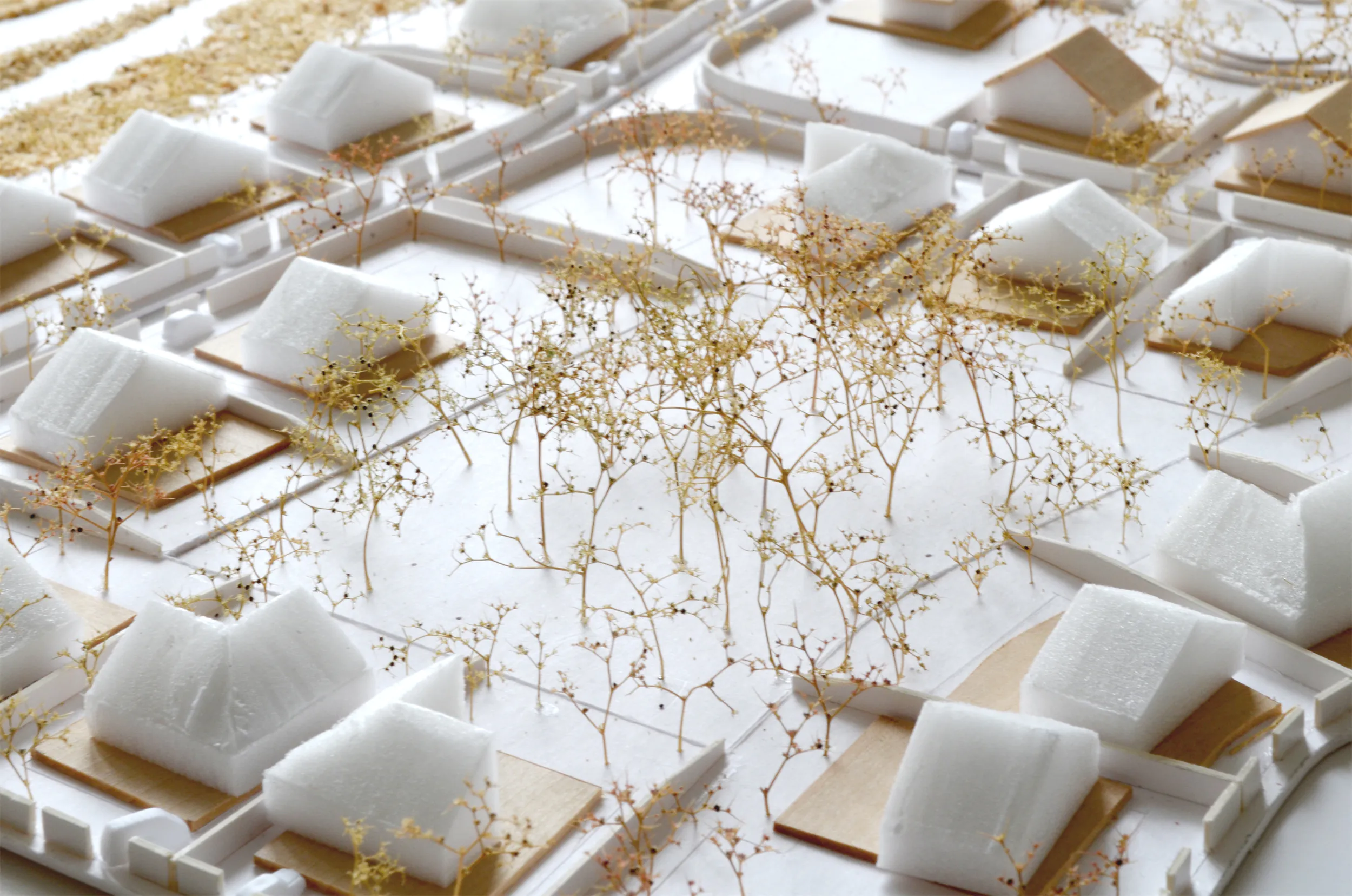 Мастерплан Котово